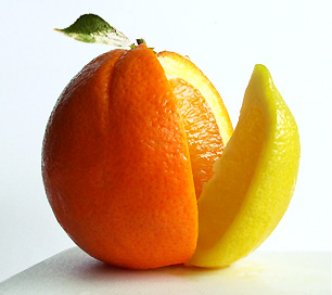 tworzenie stron internetowych