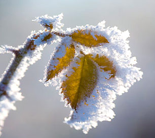 tworzenie stron internetowych